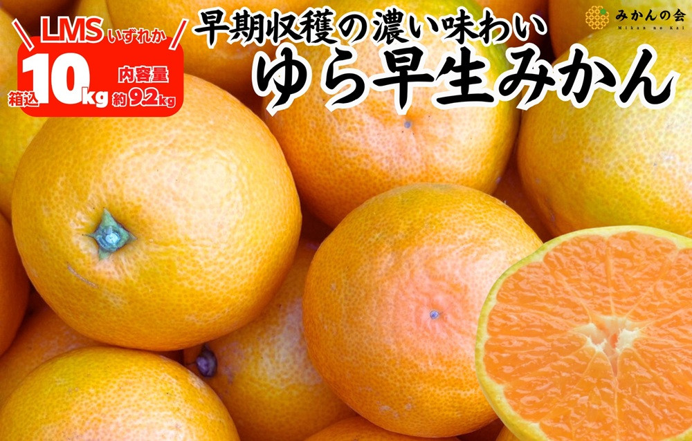 ゆら早生 みかん 箱込10kg (内容量 9.2kg)  SMLサイズのいずれか 秀品 優品 混合 有田みかん 和歌山県産 【みかんの会】［2026年10月下旬頃より順次発送予定］
