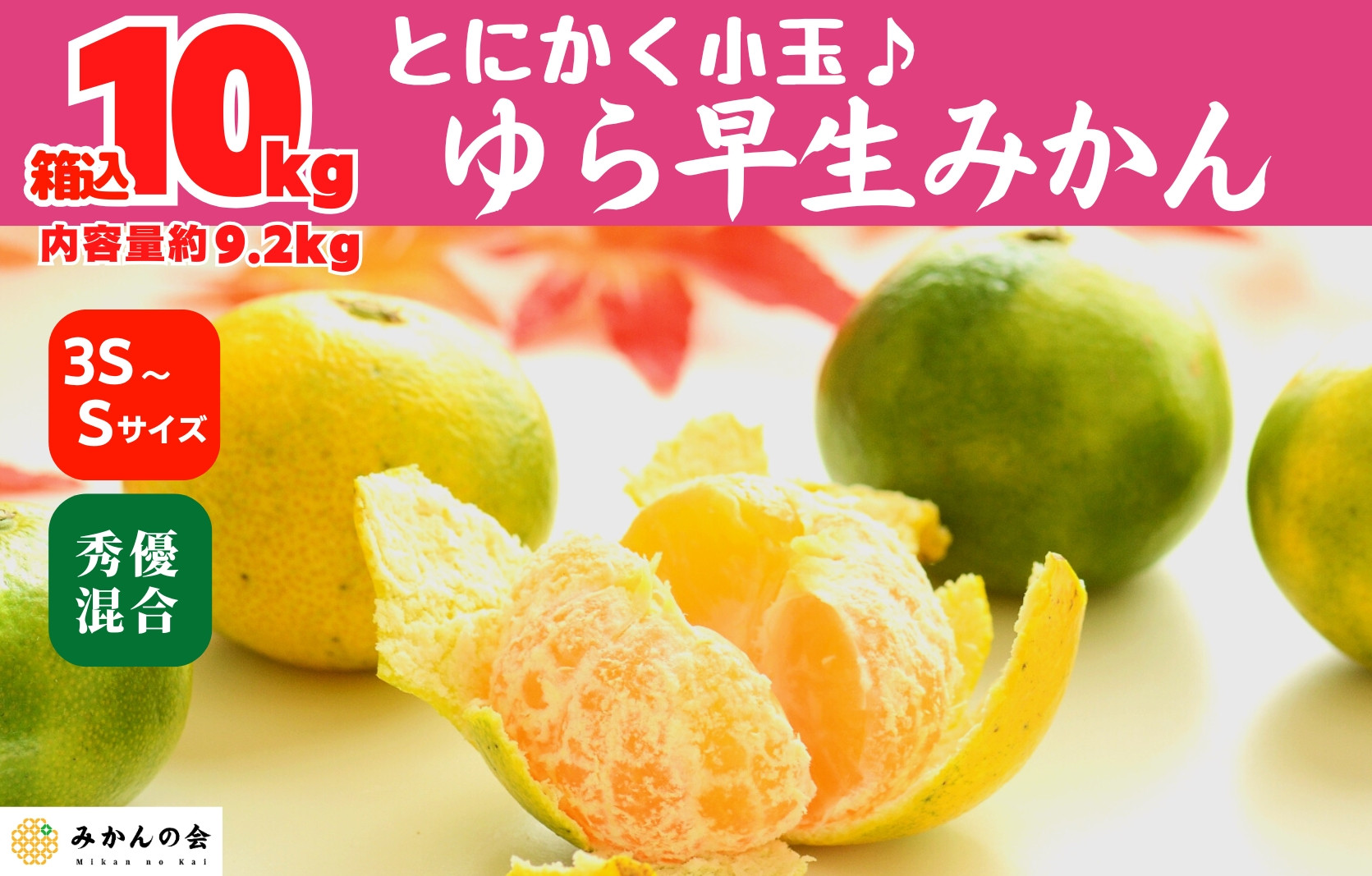 ゆら早生 みかん 小玉ちゃん 箱込10kg (内容量 9.2kg) 3S～Sサイズ混合 秀優混合 有田みかん 和歌山県産 【みかんの会】［2026年10月下旬頃より順次発送予定］