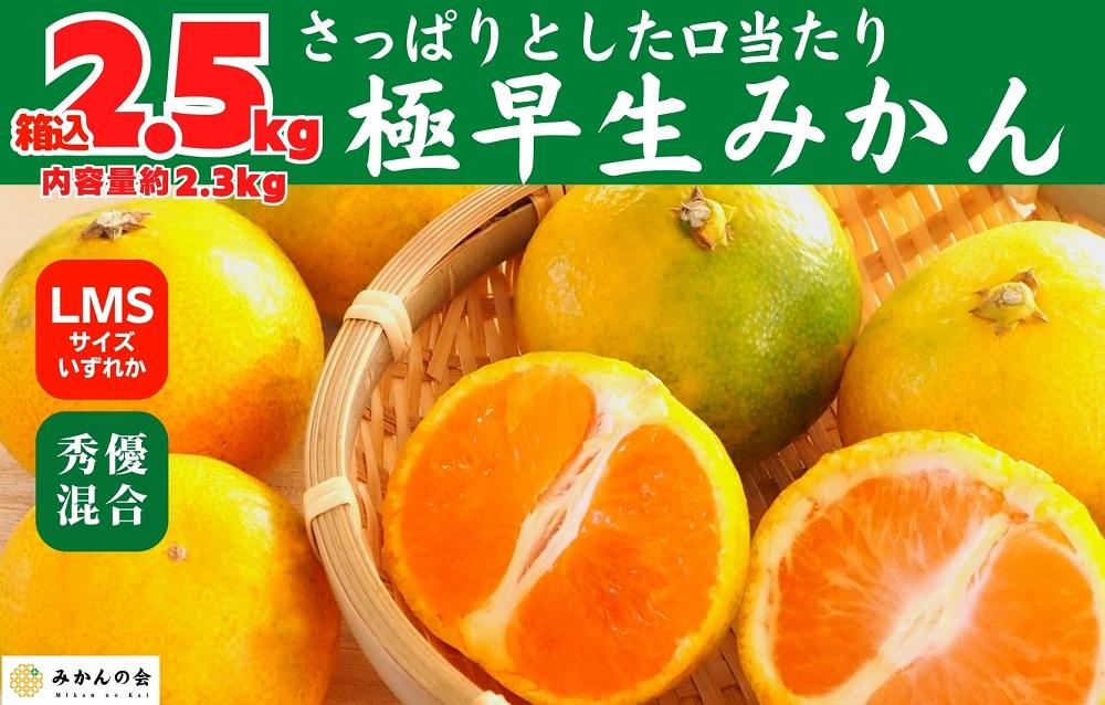 みかん 極早生 箱込 2.5kg (内容量約 2.3kg) S/M/Lサイズのいずれか 秀品 優品 混合 有田みかん 和歌山県産 【みかんの会】［2026年10月上旬頃より順次発送予定］