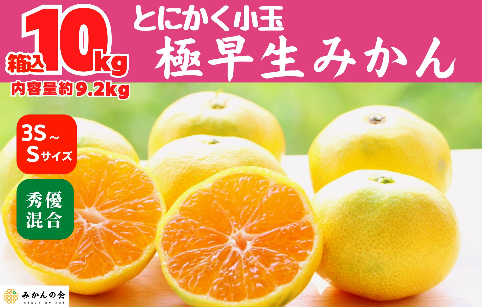小玉みかん 極早生 箱込 10kg (内容量約 9.2kg)3S～Sサイズ混合 秀品 優品 混合 有田みかん 和歌山県産 【みかんの会】［2026年10月上旬頃より順次発送予定］