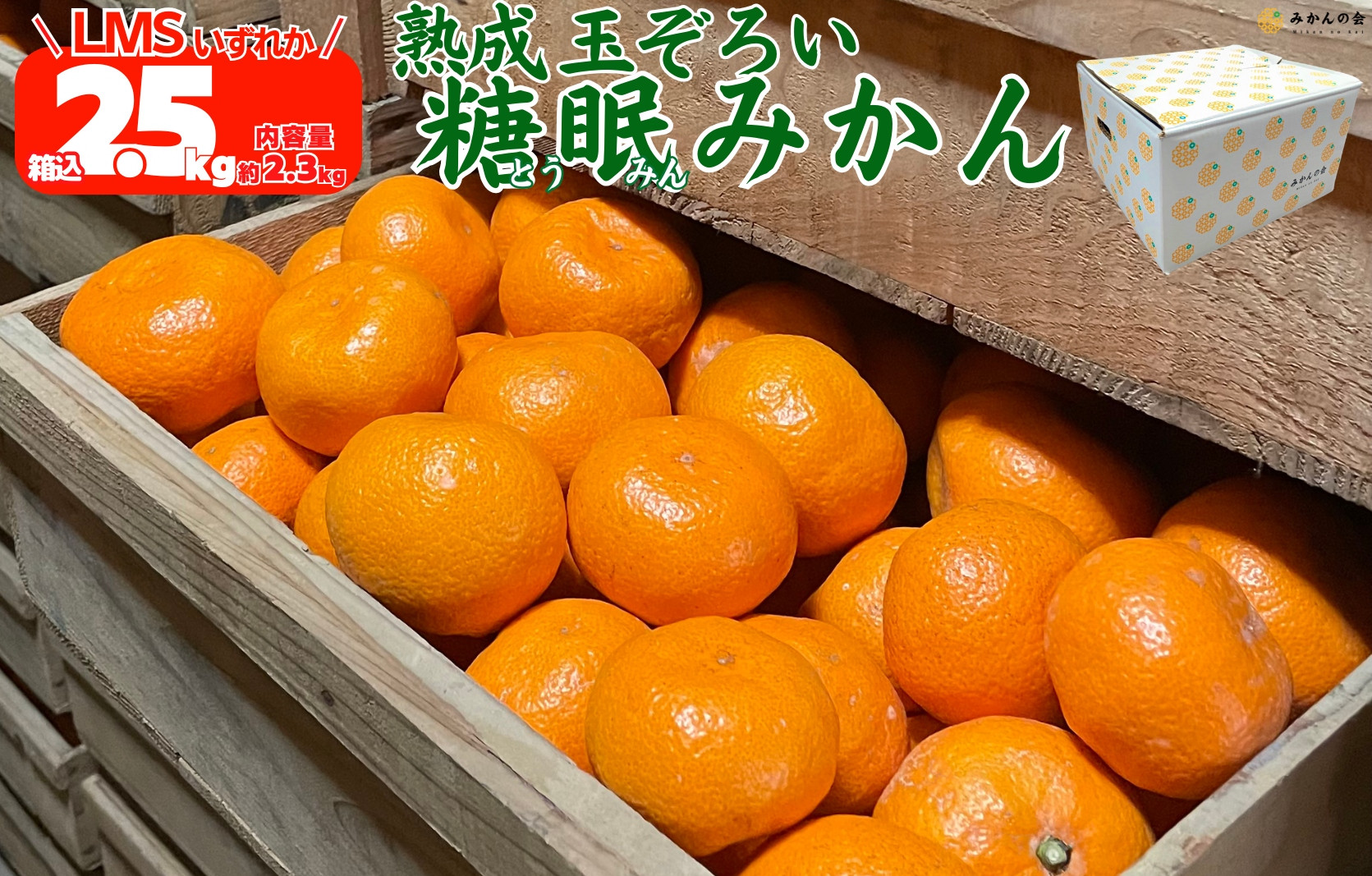 ［先行予約］熟成 みかん 箱込2.5kg ( 内容量 2.3kg ) SMLサイズのいずれか 秀品 優品 混合 和歌山県産 産地直送 贈答用 ［みかんの会］