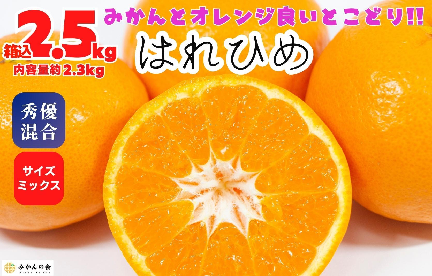 はれひめ みかん 箱込 2.5kg（内容量約 2.3kg） 秀品 優品 混合 サイズミックス 和歌山県産 産地直送【みかんの会】