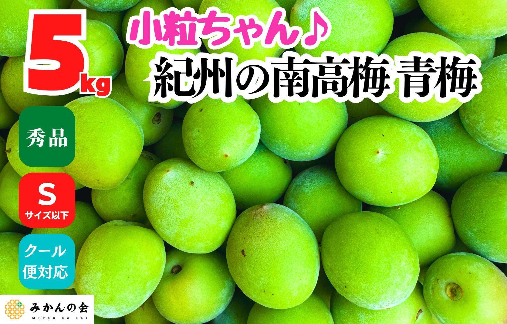 ［2026年6月上旬出荷］南高梅 青梅 秀品 小粒ちゃん 約5kg Sサイズ以下 和歌山県産 紀州有田 産地直送 クール便対応 梅酒作り用 梅ジュース作り用