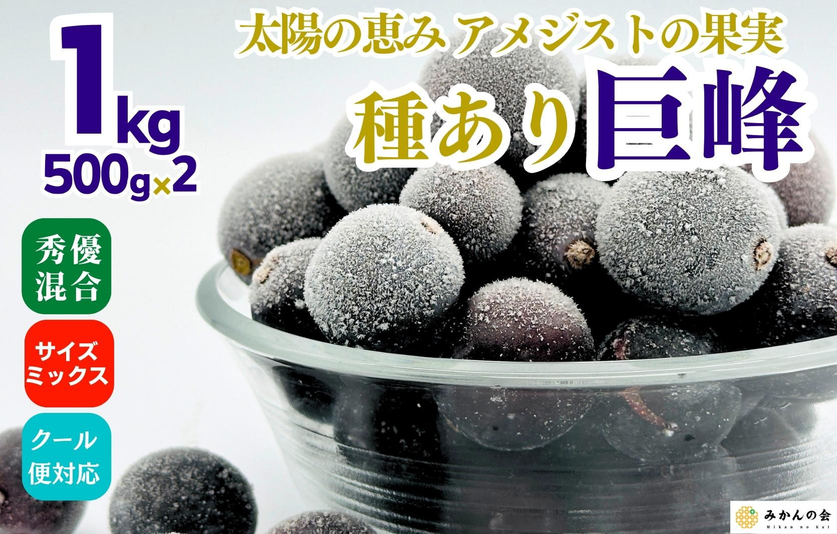 冷凍 種あり 巨峰 約1kg 秀優混合 サイズミックス 和歌山県産 産地直送 ぶどう クール便  【みかんの会】