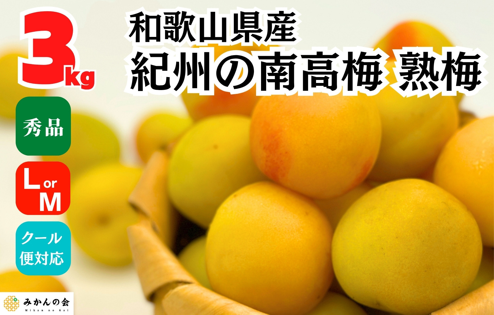熟梅 南高梅 3kg 秀品 LまたはMサイズ 和歌山県産 A品 梅干し作り用 梅ジャム作り用