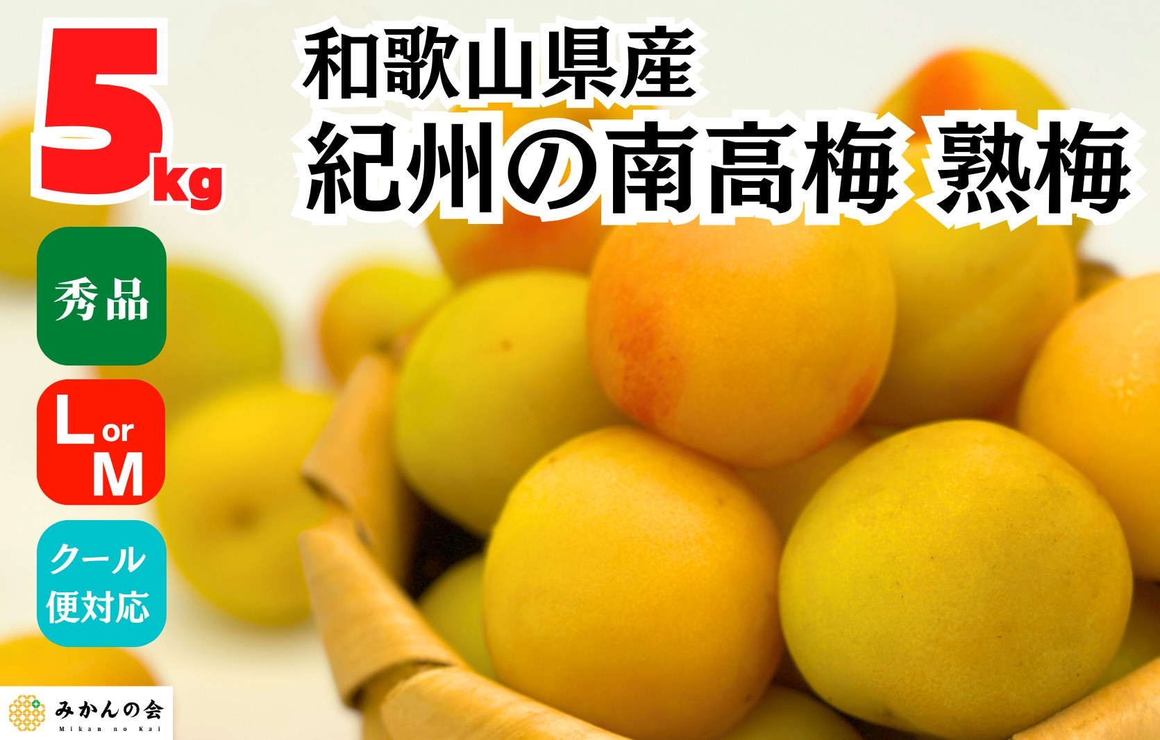 熟梅 南高梅 5kg 秀品  LまたはMサイズ 和歌山県産 A品 梅干し作り用 梅ジャム作り用