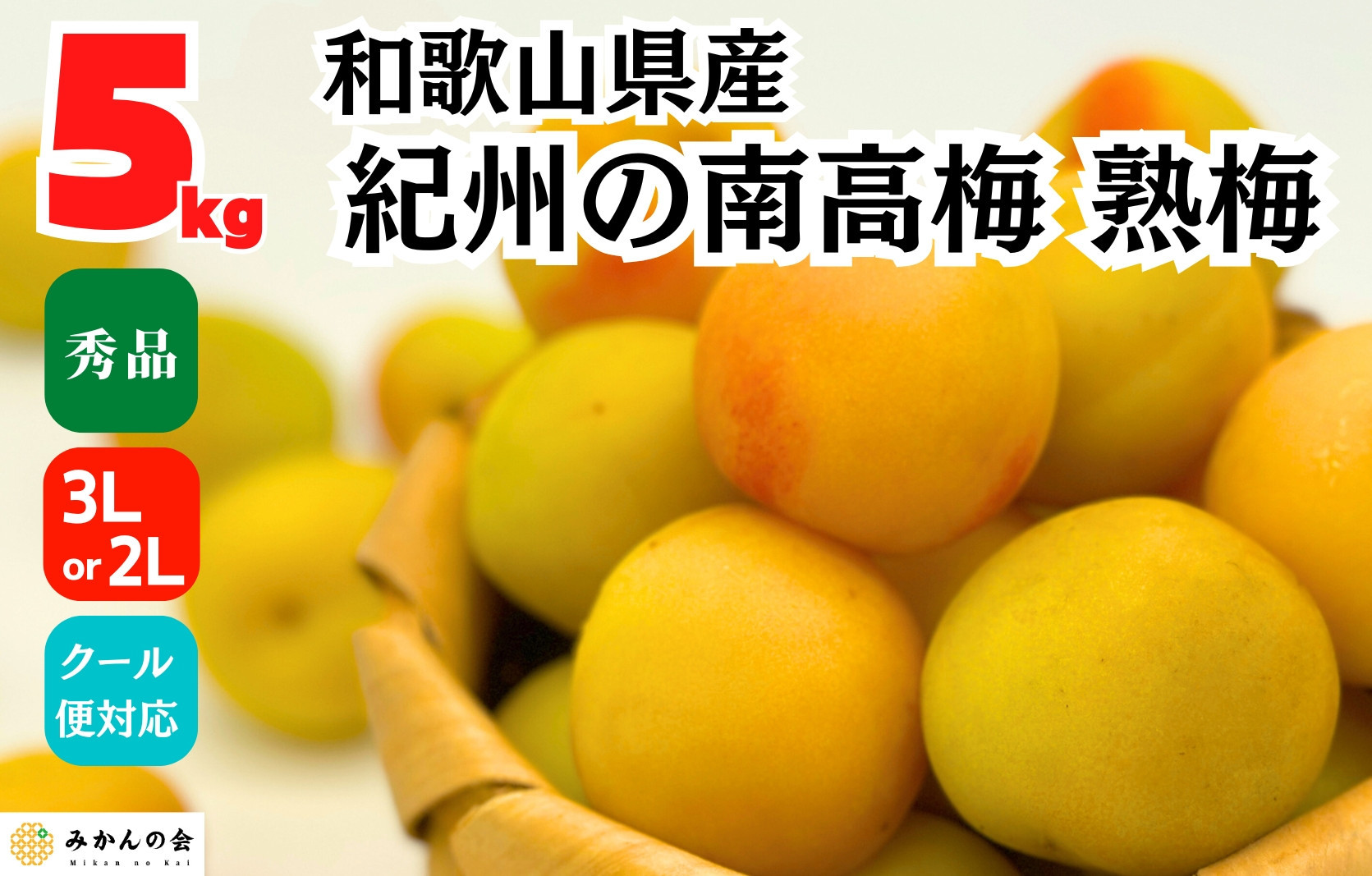 熟梅 南高梅 5kg 秀品 3Lまたは2Lサイズ 和歌山県産 A品 梅干し作り用 梅ジャム作り用