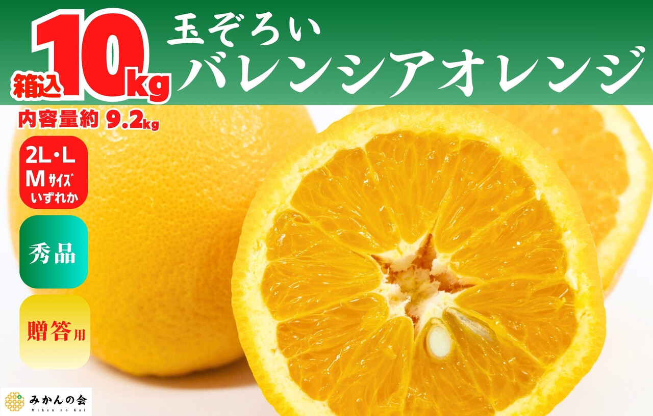 バレンシアオレンジ 国産 玉ぞろい 秀品 箱込 10kg (内容量 9.2kg ) 2L L M サイズのいずれか 和歌山県産 産地直送【みかんの会】