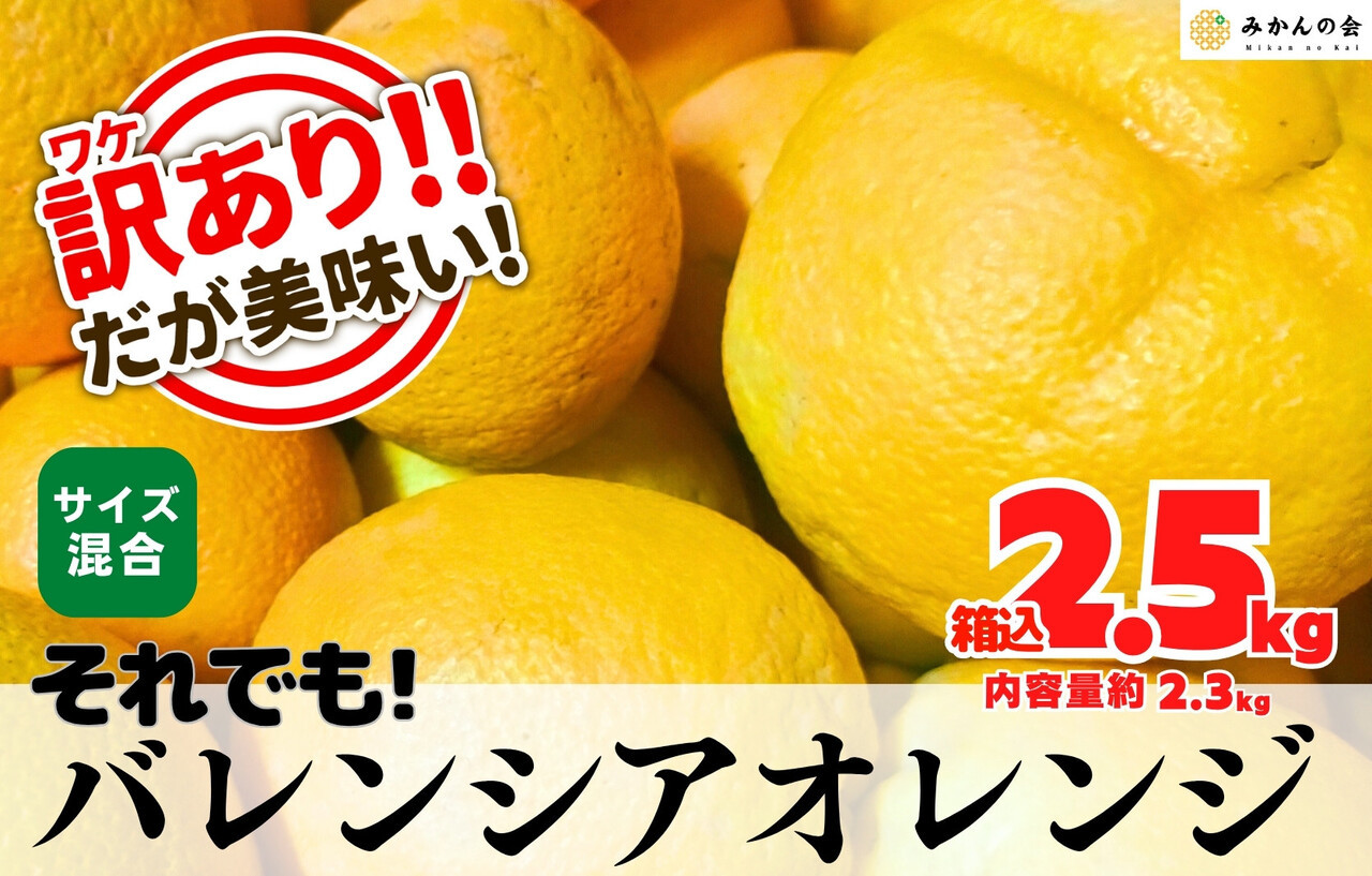 訳あり バレンシアオレンジ  国産 箱込 2.5kg (内容量 2.3kg ) サイズミックス 和歌山県産 産地直送 みかんの会