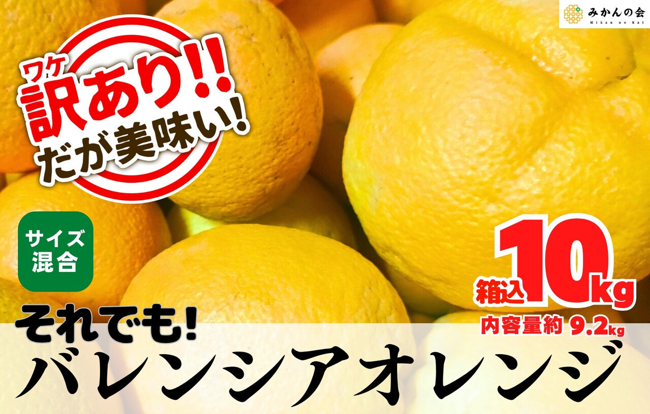 訳あり バレンシアオレンジ  国産 箱込 10kg (内容量 9.2kg ) サイズミックス 和歌山県産 産地直送 みかんの会