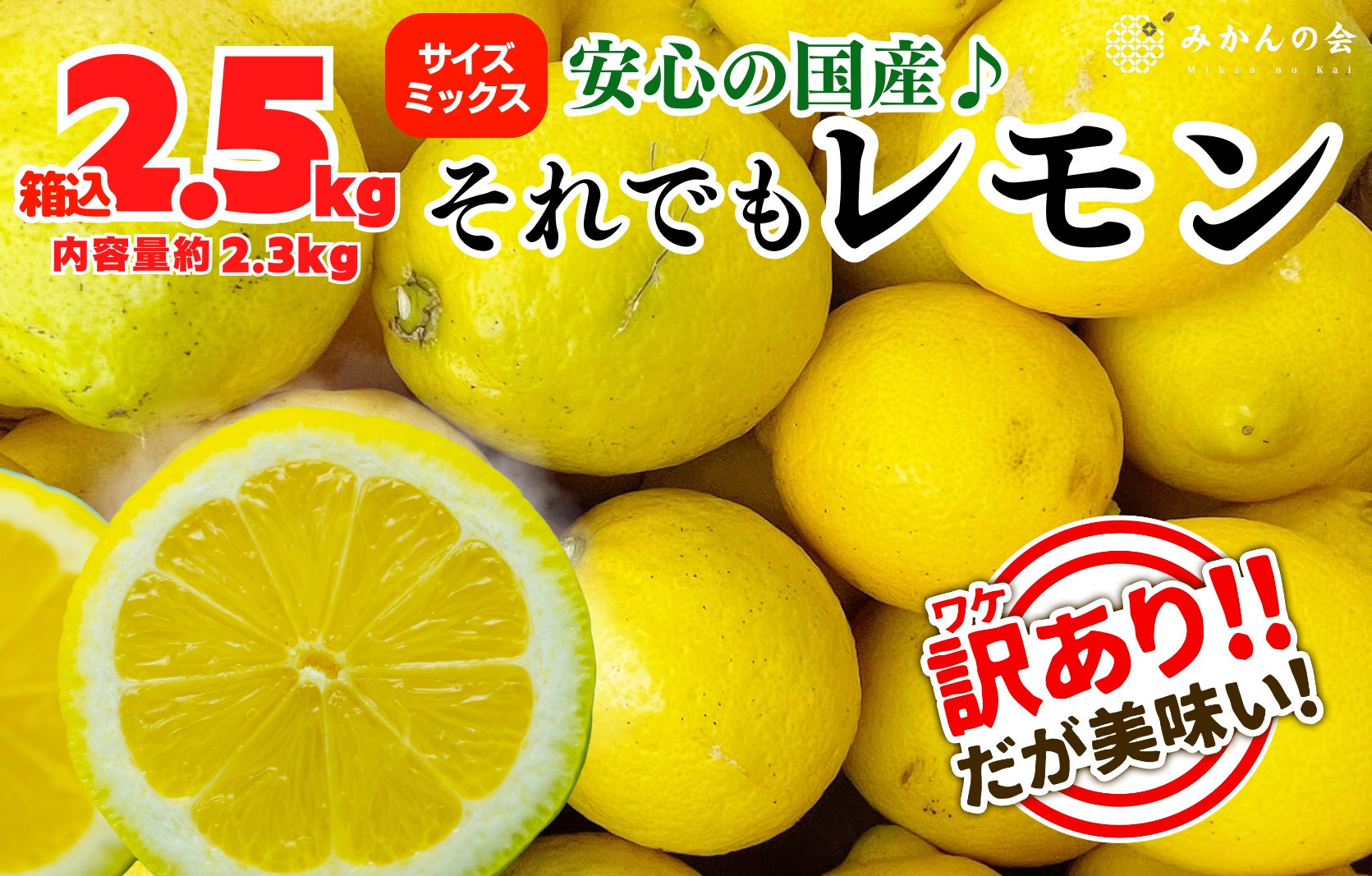 訳あり レモン B品  箱込2.5kg(内容量約2.3kg) 和歌山県有田産（サイズミックス）【みかんの会】