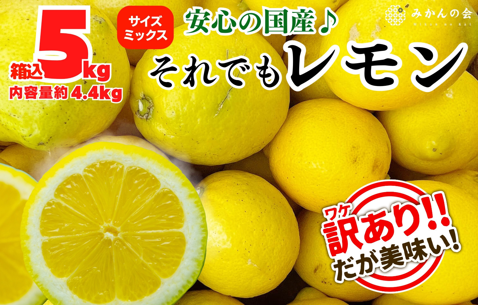 訳あり レモン B品  箱込5kg(内容量約4.4kg) 和歌山県有田産（サイズミックス）【みかんの会】