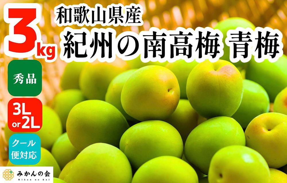 ［2026年6月上旬出荷］青梅 南高梅 3kg 秀品 3Lまたは2Lサイズ 和歌山県産 A品 梅酒作り用 梅ジュース作り用
