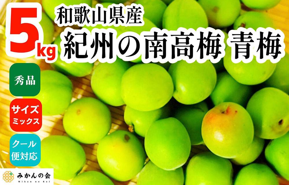 ［2026年6月上旬出荷］青梅 南高梅 5kg 秀品 サイズミックス 和歌山県産 A品 梅酒作り用 梅ジュース作り用