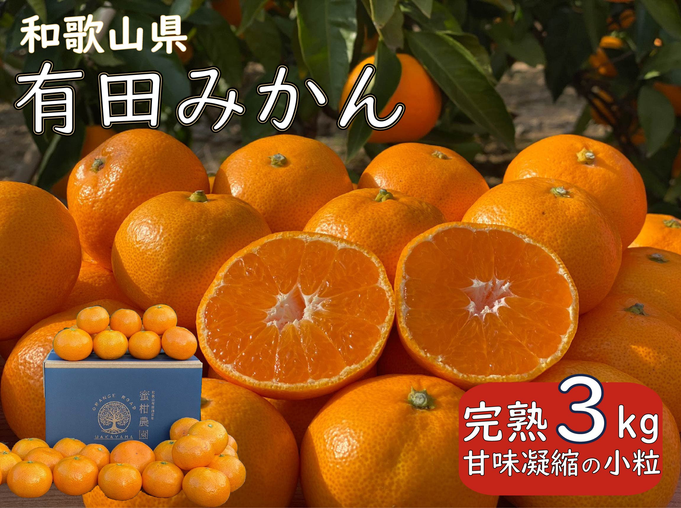 年内発送 和歌山県 完熟 有田みかん 3kg 甘味凝縮 小粒 産直44年 武内園