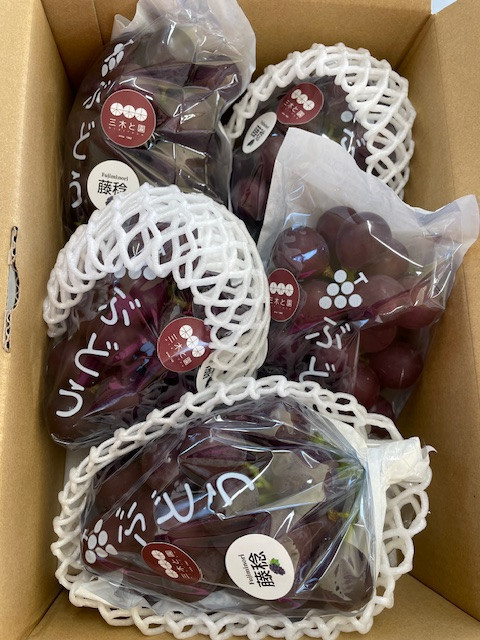 【先行予約】有田巨峰村三木と園のあま～いジューシー！ 種あり 藤稔（ふじみのり）2kg(4〜6房)