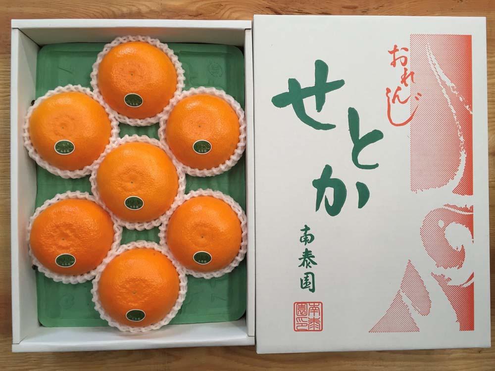 化粧箱 柑橘の大トロ ハウス せとか 厳選 大玉 7玉入