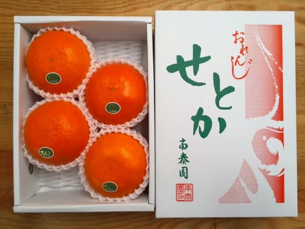 ハーフ 化粧箱 柑橘の大トロ ハウス せとか 厳選 4玉入 南泰園