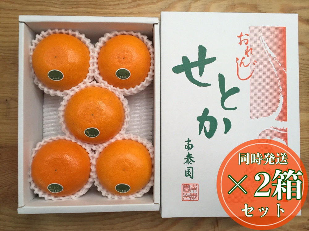 ［2箱セット］ハーフ 化粧箱 柑橘の大トロ ハウス せとか 厳選 5玉入 × 2箱 南泰園
