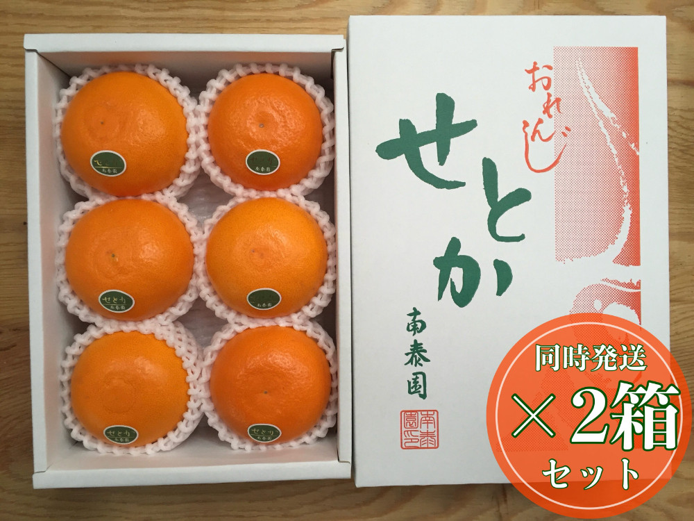［2箱セット］ハーフ 化粧箱 柑橘の大トロ ハウス せとか 厳選 6玉入 × 2箱 南泰園
