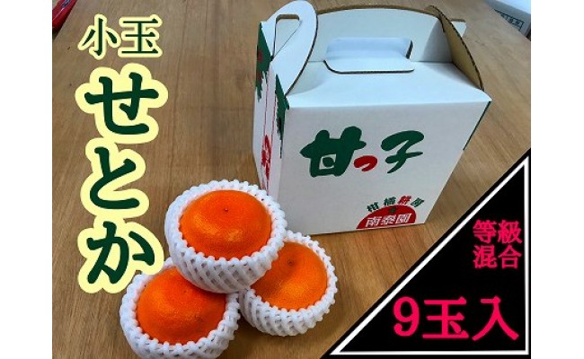 甘っ子 小玉 ハウス せとか 9玉入 手さげ箱 南泰園