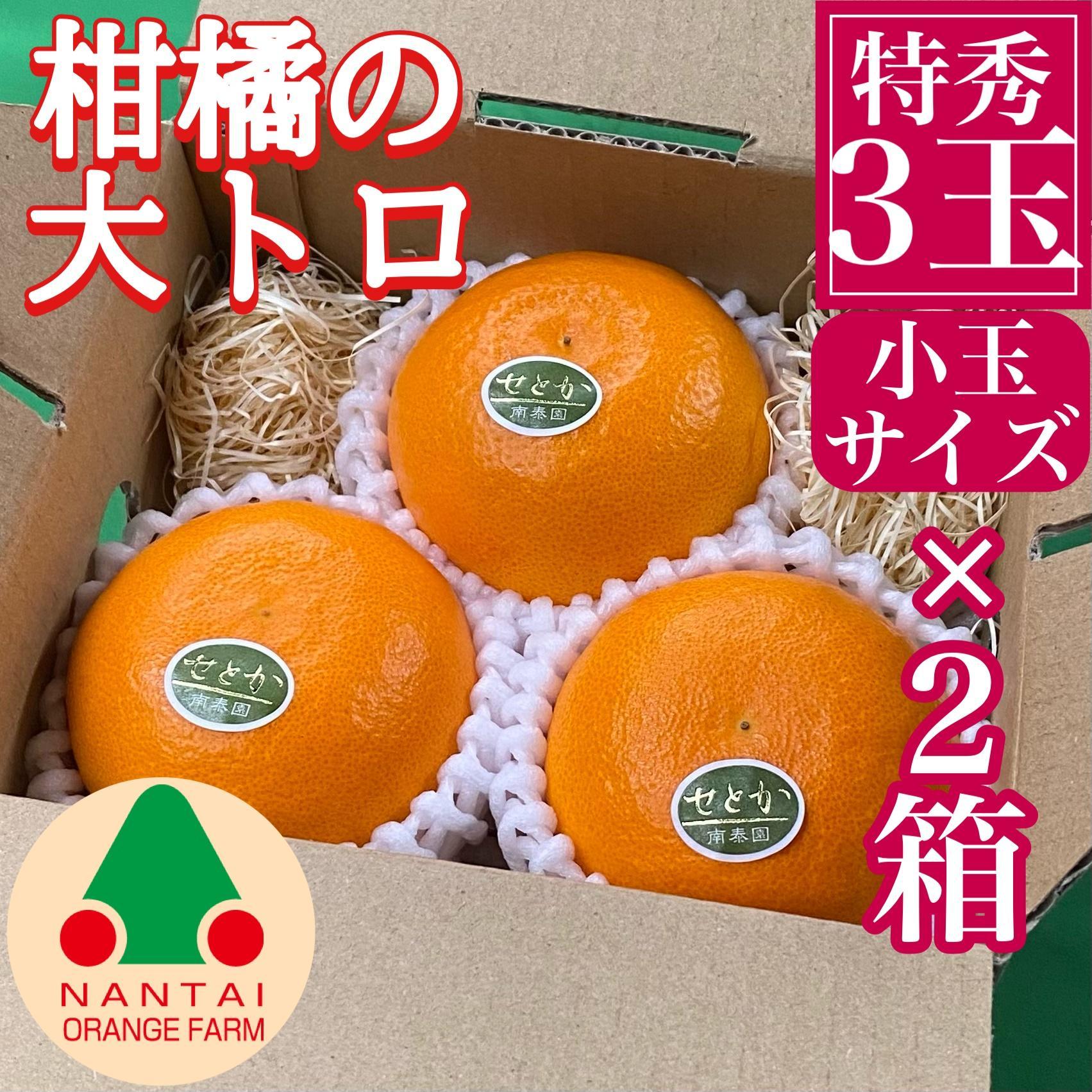 お試し規格 柑橘の大トロ ハウス せとか 厳選 小玉 3玉入 手さげ箱 × 2箱 南泰園 和歌山 有田