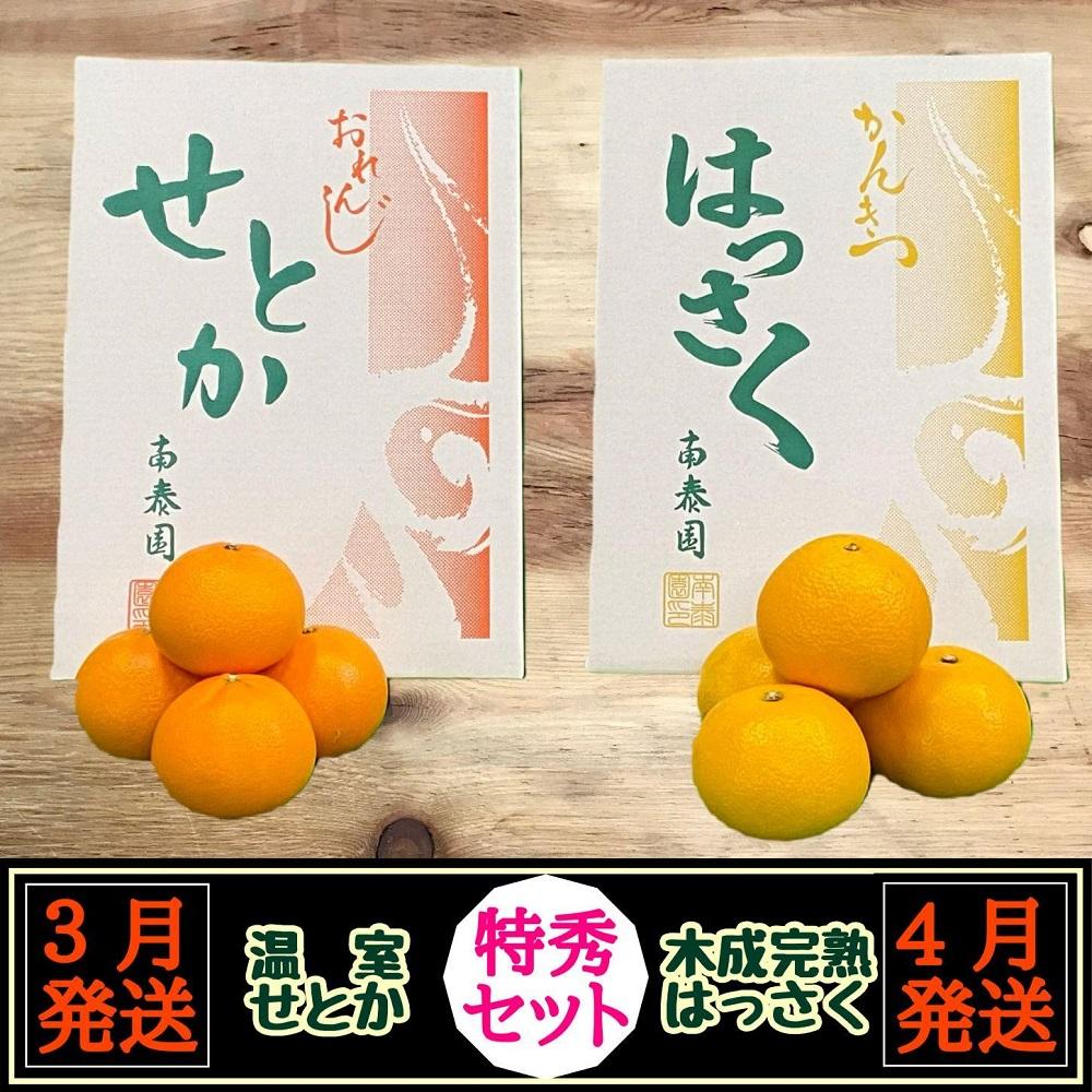 定期便 春に楽しむ ハウス せとか ＆ 木成 完熟 有田 はっさく 特秀 セット 全2回 南泰園