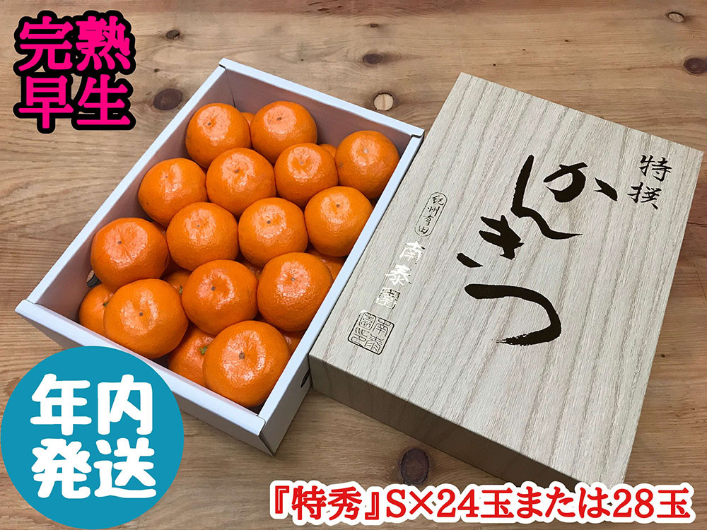 年内発送 完熟早生 有田みかん 化粧小箱 特秀 S サイズ 24玉または28玉入 和歌山 南泰園 みかん