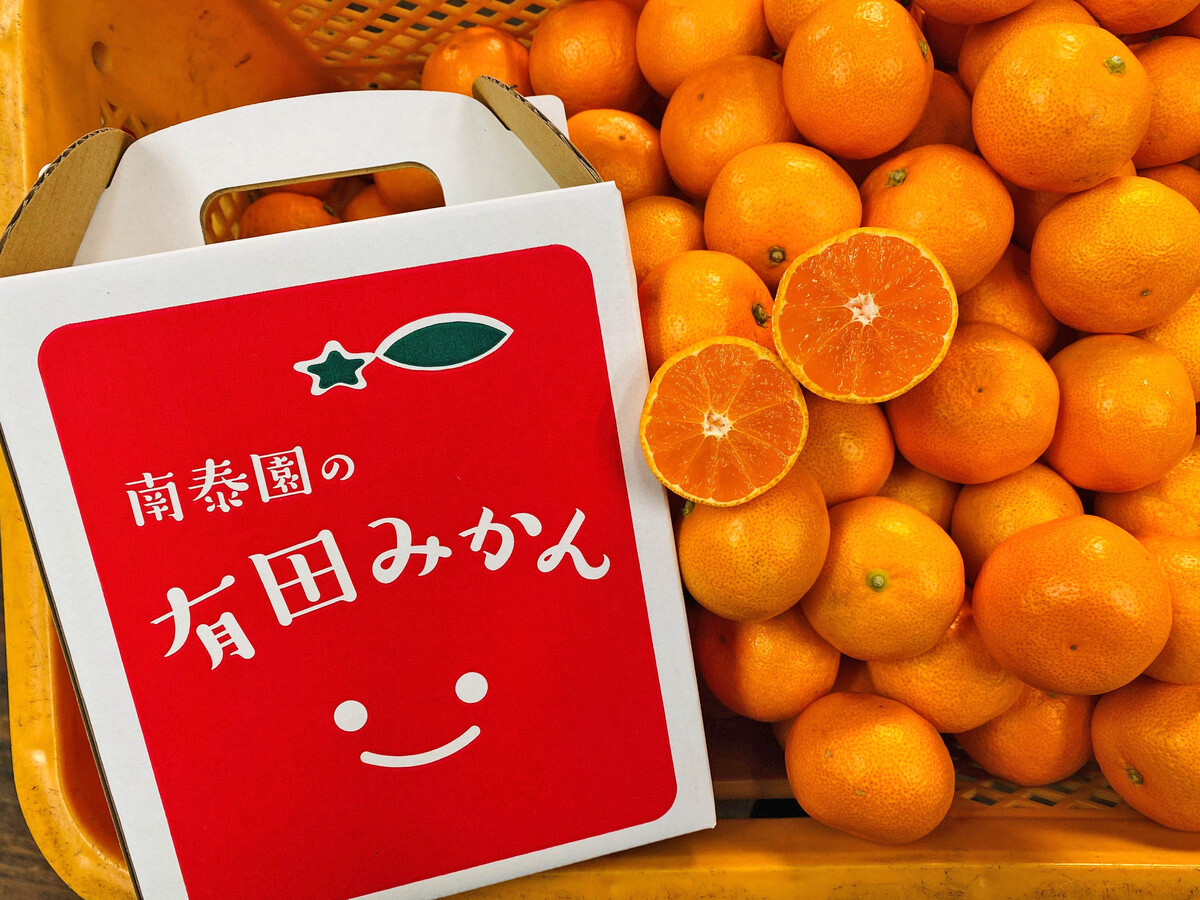 有田みかん 小玉ちゃん 等級混合 2.2kg 小玉2S～4Sサイズ混合 和歌山 南泰園 みかん