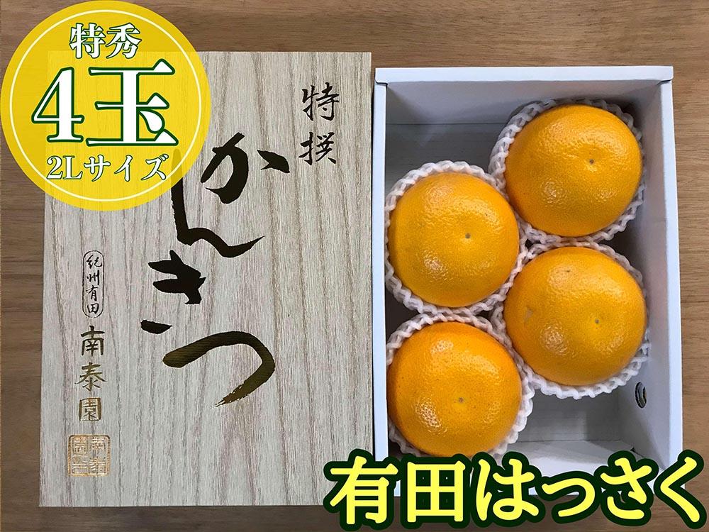 化粧箱 小箱 手詰め 有田 はっさく 特秀 大玉 2L サイズ × 4玉入 南泰園 みかん