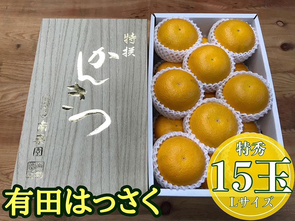 化粧箱 手詰め 有田 はっさく 特秀 L サイズ × 15玉入 2段詰 南泰園 みかん