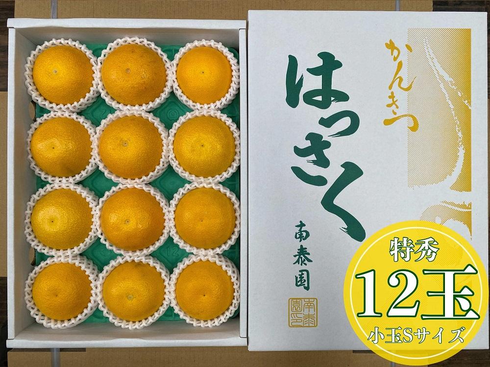 化粧箱 手詰め 有田 はっさく 特秀 小玉 S サイズ × 12玉入 南泰園 みかん