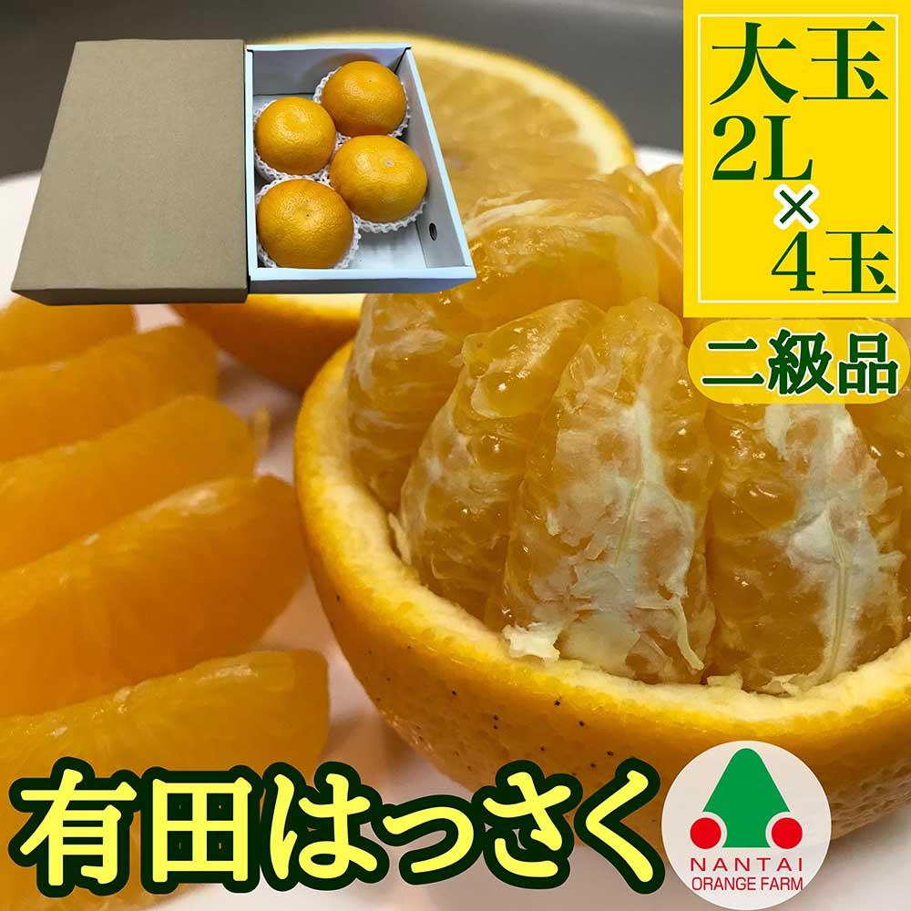 ちょっと 傷あり 小箱 手詰め 有田 はっさく 大玉 2L サイズ × 4玉入 南泰園 みかん