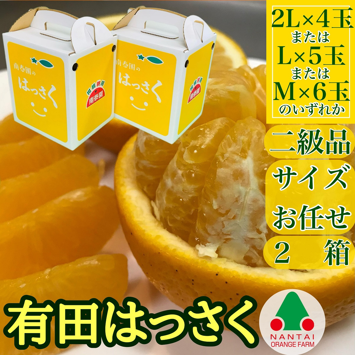 2箱セット ちょっと 傷あり 手さげ箱 有田 はっさく 2L ~ M 4~6玉入 南泰園 みかん