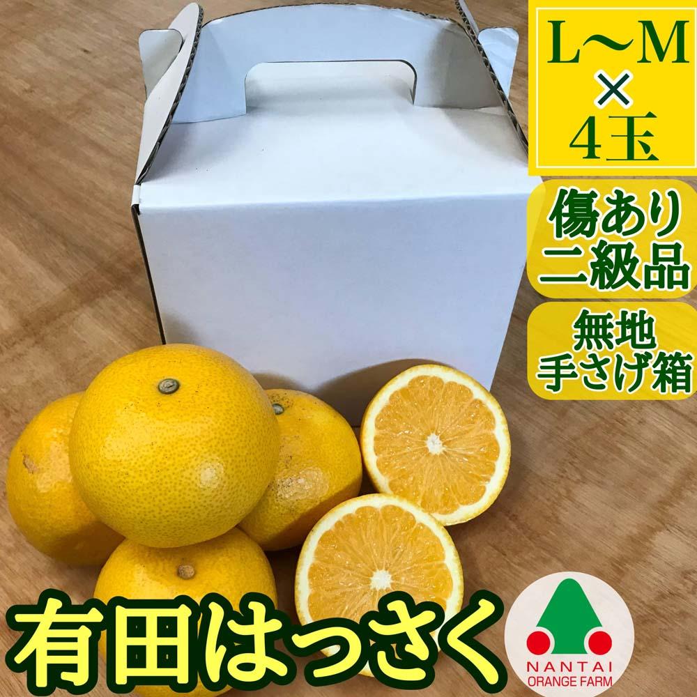 有田 はっさく L または M 4玉入 ちょっと 傷あり 手さげ箱  南泰園 みかん