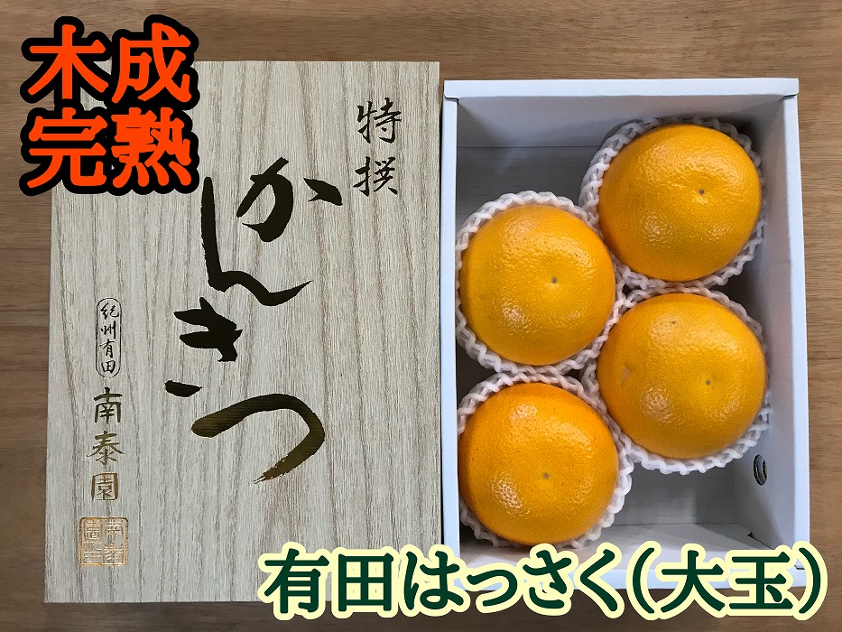 4月 まで 木成 完熟 させた 有田 はっさく 特秀 大玉 2L × 4玉 化粧小箱 南泰園 みかん