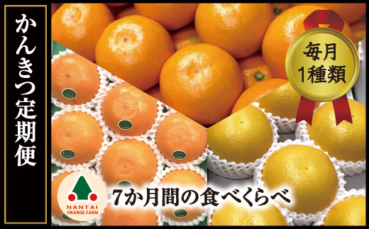 頒布会 有田かんきつ 定期便 7ヶ月間 南泰園 みかん