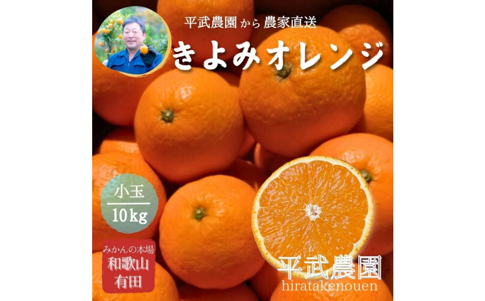 農家直送！きよみオレンジ 小玉10kg［平武農園］～蛍飛ぶ町から旬の便り～［2026年3月下旬から順次発送予定］