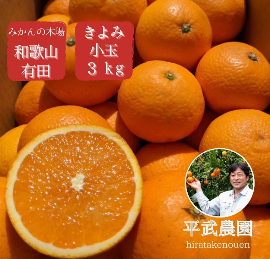 農家直送！きよみオレンジ 小玉3kg　［平武農園］～蛍飛ぶ町から旬の便り～［2025年3月中旬～4月下旬頃発送予定］