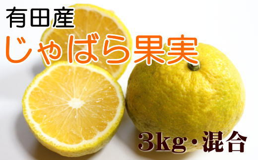 ［厳選］有田産のじゃばら果実約3kg