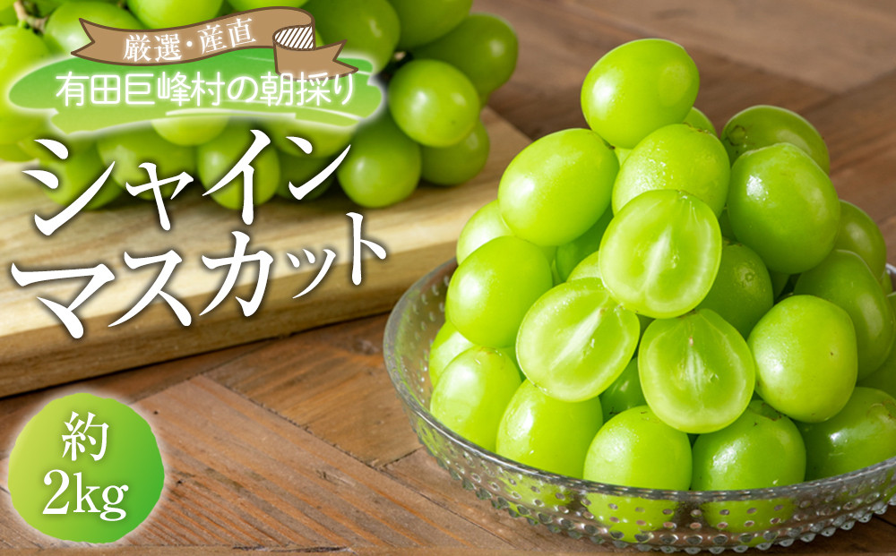 ［先行予約］シャインマスカット 約2kg  (3房～5房) 有田巨峰村 【朝採 新鮮】■2026年発送■※8月下旬頃から9月下旬頃まで順次発送予定