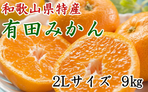 [秀品]和歌山有田みかん約9kg(2Lサイズ) ★2025年11月中旬頃より順次発送【TM85w】