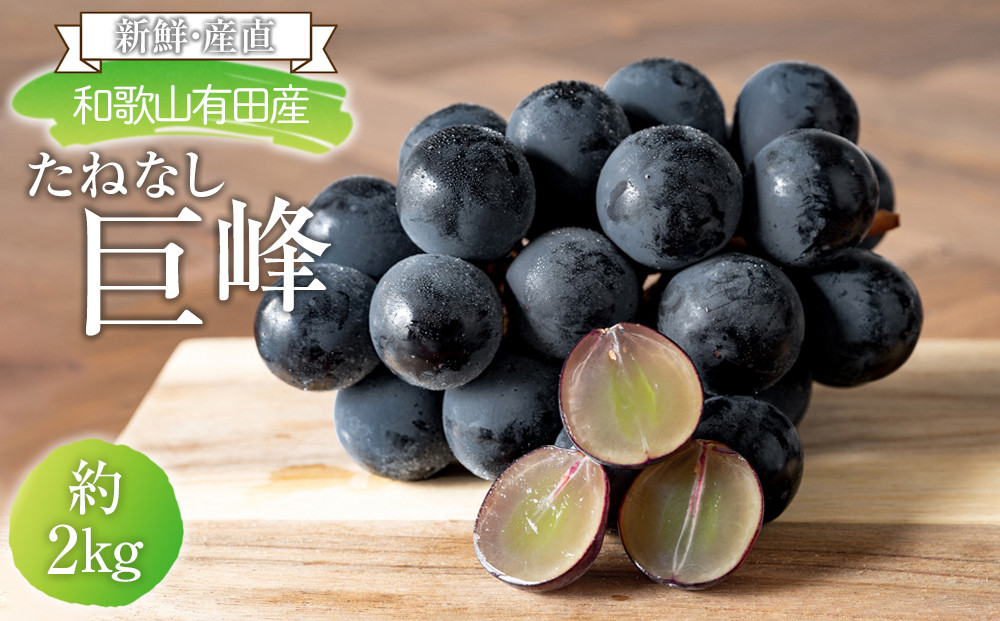 ［先行予約］[新鮮・産直]和歌山有田産のたねなし巨峰約2kg★2026年8月上旬頃より順次発送
