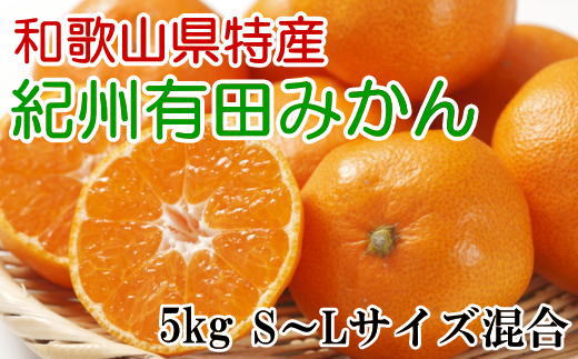 [秀品]和歌山有田みかん約5kg（S～Lサイズ混合）★2025年11月中旬頃より順次発送【TM95ｗ】