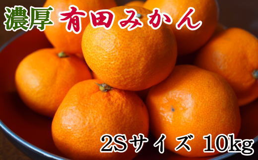 ［濃厚・秀品］和歌山有田みかん約10kg(2Sサイズ) ★2026年11月中旬頃より順次発送