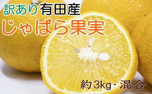 ［訳あり品］有田産のじゃばら果実約3kg