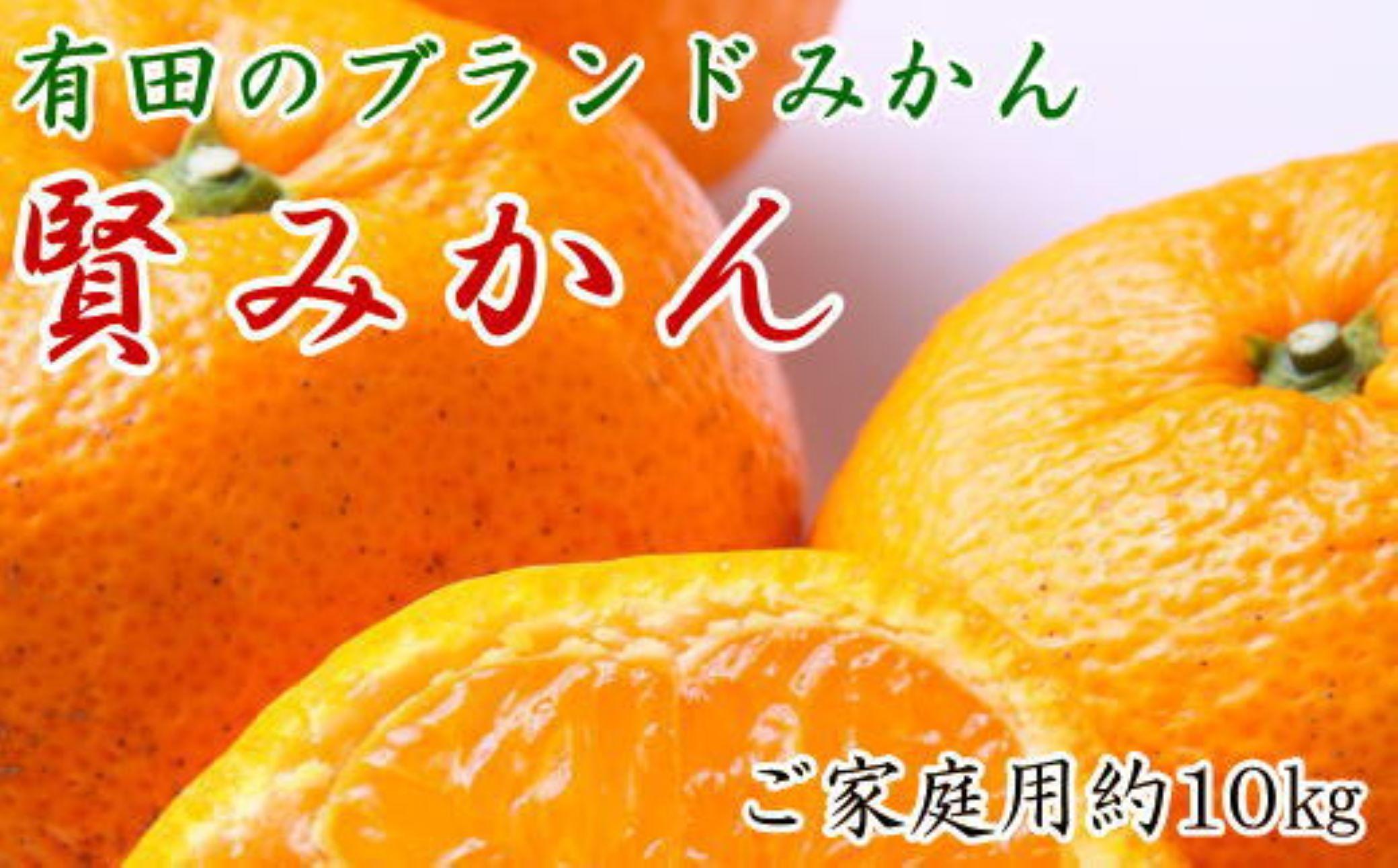 有田のブランド「賢みかん」約10kg サイズ混合 ご家庭用［2026年11月中旬頃より順次発送］