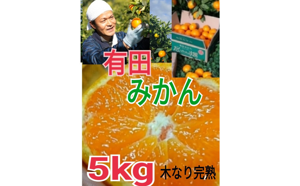 【ご家庭用】有田みかん  5kg （Ｓ～2Ｌサイズミックス）木成り完熟 大ちゃんの畑農園
