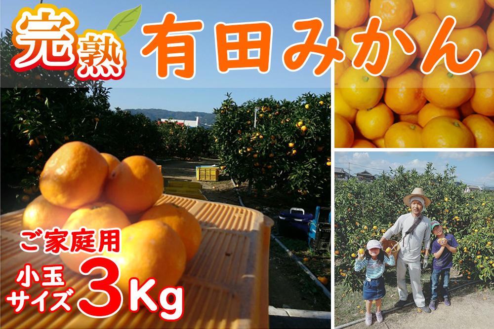 有田みかん 3kg（2S～Sサイズ小玉ちゃん）木成り完熟【ご家庭用】大ちゃんの畑農園