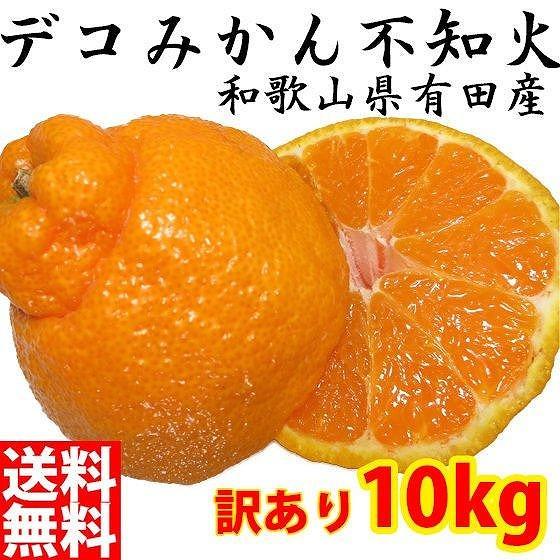 不知火(しらぬい) オレンジ みかん 家庭用 10kg